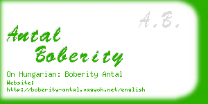 antal boberity business card
